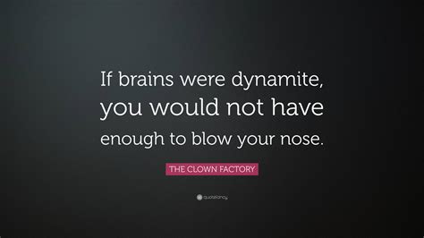 if brains were dynamite, you wouldn't have enough to blow your nose.